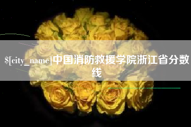 祁东中国消防救援学院浙江省分数线