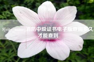 祁东消防中级证书电子版查询多久才能查到