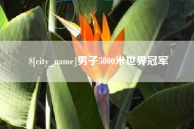 祁东男子5000米世界冠军