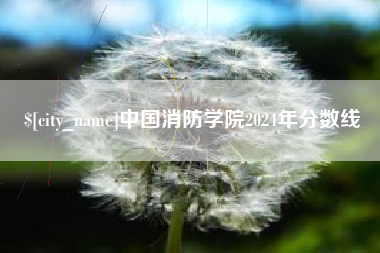 祁东中国消防学院2024年分数线