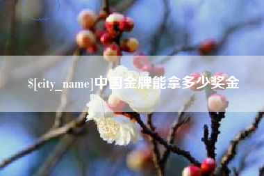祁东中国金牌能拿多少奖金