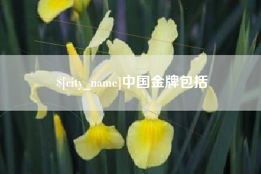 祁东中国金牌包括