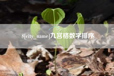祁东九宫格数字排序