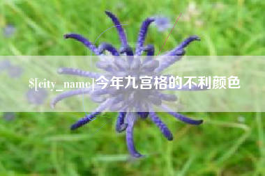 祁东今年九宫格的不利颜色