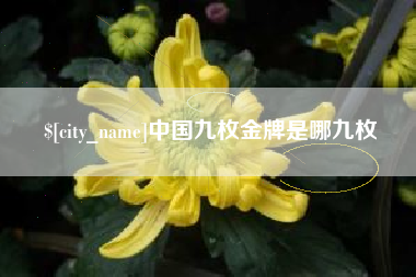 祁东中国九枚金牌是哪九枚