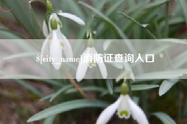 祁东消防证查询入口