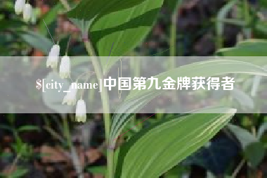 祁东中国第九金牌获得者