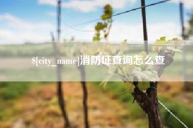 祁东消防证查询怎么查