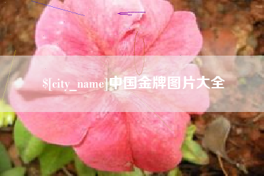 祁东中国金牌图片大全