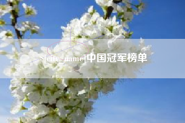 祁东中国冠军榜单