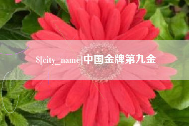 祁东中国金牌第九金
