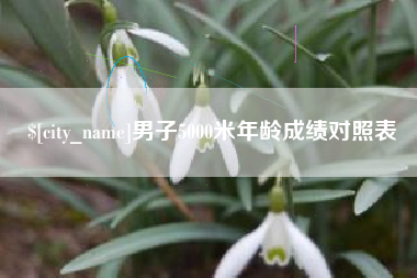 祁东男子5000米年龄成绩对照表