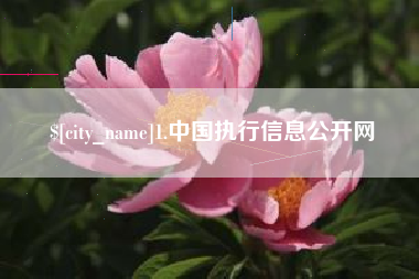 祁东1.中国执行信息公开网