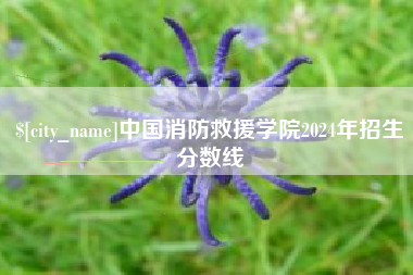 祁东中国消防救援学院2024年招生分数线