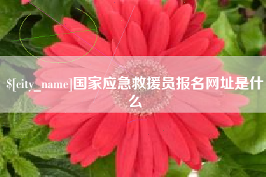 祁东国家应急救援员报名网址是什么