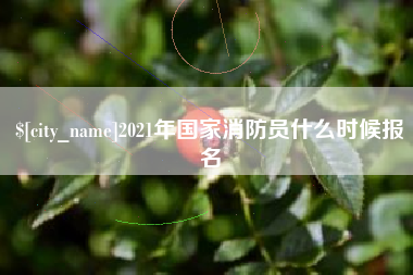 祁东2021年国家消防员什么时候报名