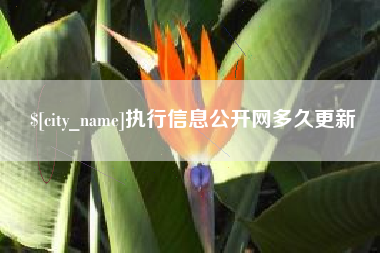 祁东执行信息公开网多久更新
