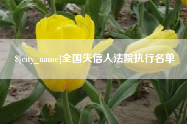 祁东全国失信人法院执行名单