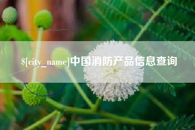 祁东中国消防产品信息查询