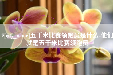 祁东五千米比赛领跑员是什么-他们就是五千米比赛领跑员