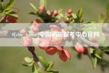 祁东中国消防报考中心官网