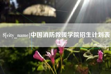 祁东中国消防救援学院招生计划表
