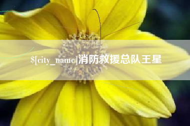 祁东消防救援总队王星