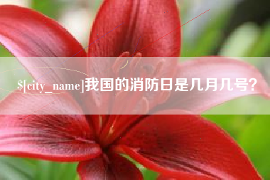 祁东我国的消防日是几月几号？