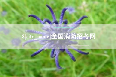 祁东全国消防招考网