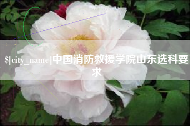 祁东中国消防救援学院山东选科要求