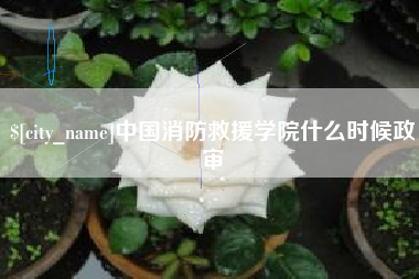 祁东中国消防救援学院什么时候政审