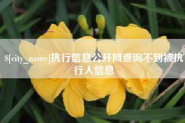 祁东执行信息公开网查询不到被执行人信息
