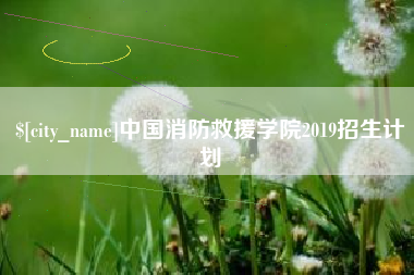 祁东中国消防救援学院2019招生计划