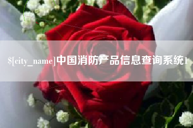 祁东中国消防产品信息查询系统1