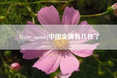 祁东中国金牌有几枚了