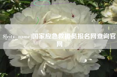 祁东国家应急救援员报名网查询官网