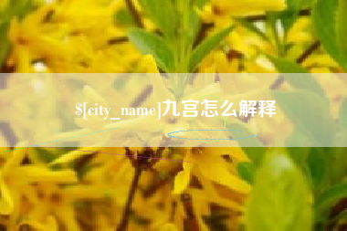 祁东九宫怎么解释