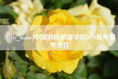 祁东中国消防救援学院2020高考报考条件