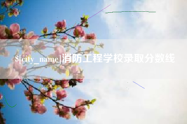 祁东消防工程学校录取分数线