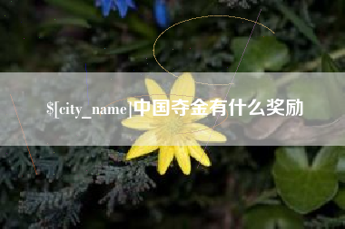 祁东中国夺金有什么奖励