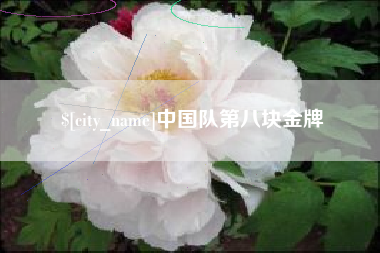 祁东中国队第八块金牌