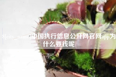 祁东中国执行信息公开网官网app为什么要钱呢