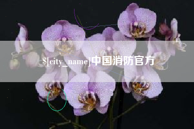 祁东中国消防官方