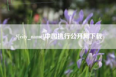祁东中国执行公开网下载