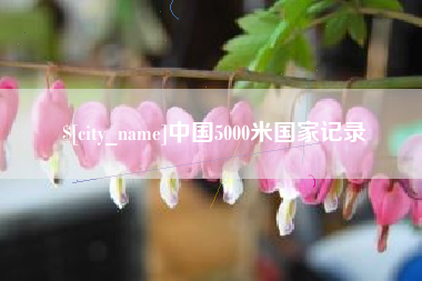 祁东中国5000米国家记录
