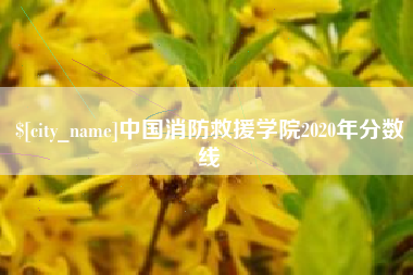 祁东中国消防救援学院2020年分数线