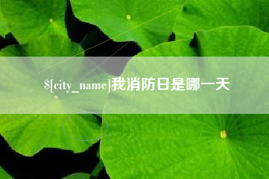 祁东我消防日是哪一天