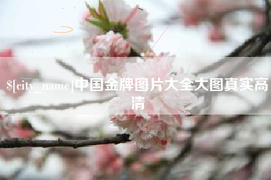 祁东中国金牌图片大全大图真实高清