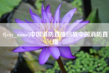 祁东中国消防直播回放中国消防直播