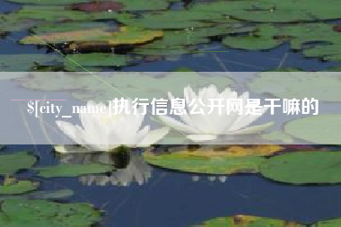 祁东执行信息公开网是干嘛的